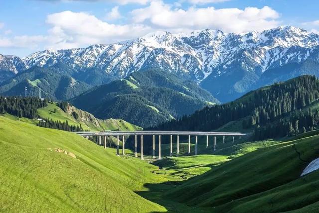 新疆技能学习指南，从入门到进阶的实用指南