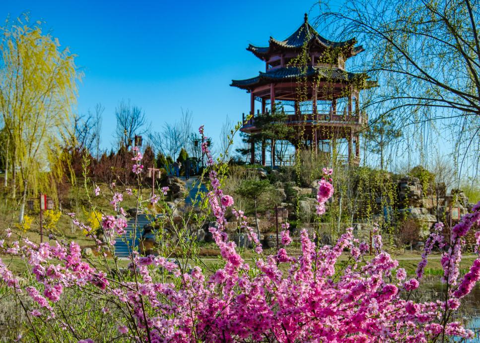 秦皇岛探秘记，小巷深处的独特风味之旅